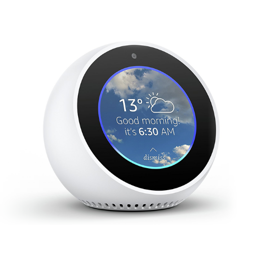 Picture of Echo Spot
