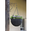 Picture of Hanging Flower Sphere
